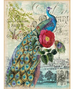 Ophelia & Co, NEW PEACOCK BLUE II