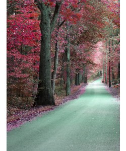 Sandro De Carvalho, BYWAY I