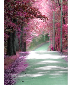 Sandro De Carvalho, BYWAY II