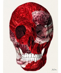 Tina Carlson, SKULL WITH PATTERN II