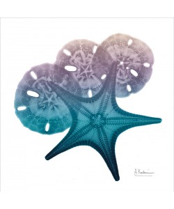 Albert Koetsier, OCEAN STARFISH II