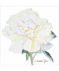 Rossi Lorraine, PEACE ROSE I