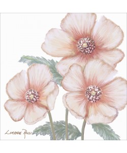 Rossi Lorraine, PINK POPPIES I