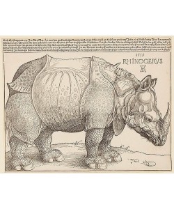 Albrecht Dürer, RHINOCERUS. 1515