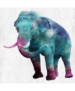 Sheldon Lewis, WILD ELEPHANT