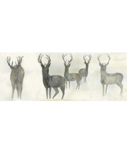 Beverly Dyer, DEER IN THE MORNING