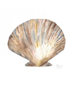 Beverly Dyer, SEA SHELL NEUTRAL II