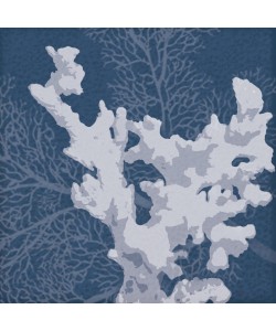 Lauren Gibbons, SEA CORAL WHITE II