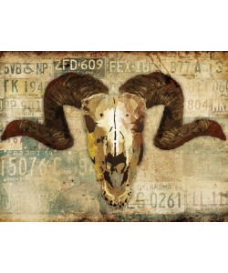 Jace Grey, VINTAGE SKULL