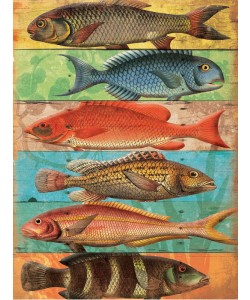 Jace Grey, FISH WALL I