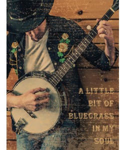 Melody Hogan, JUST PLAY II