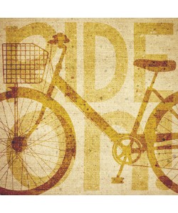 Melody Hogan, BIKE CANVAS II