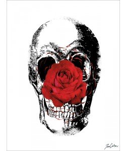 Tina Carlson, FLOWER SKULL II