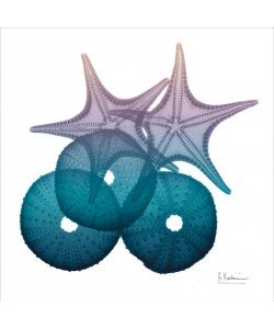 Albert Koetsier, OCEAN STARFISH I