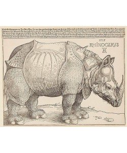 Albrecht Dürer, RHINOCERUS. 1515