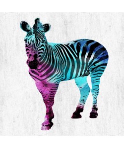 Sheldon Lewis, WILD ZEBRA