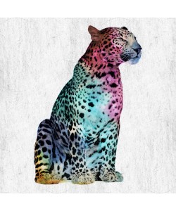 Sheldon Lewis, WILD LEOPARD