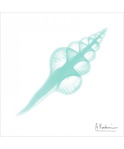 Albert Koetsier, LIGHT MINT I
