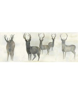 Beverly Dyer, DEER IN THE MORNING