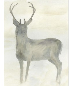 Beverly Dyer, DEER SOLO II