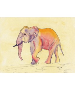 Beverly Dyer, ELEPHANT RAINBOW