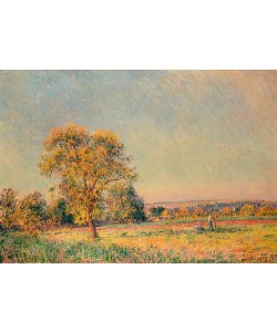 Alfred Sisley, Sommerlandschaft mit großem Baum. 1886