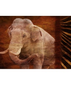 Jace Grey, ANIMAL INSTINCT III