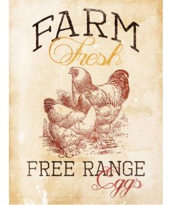 Jace Grey, CHICKEN II