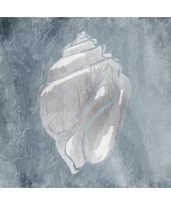 Jace Grey, WHITE SHELLS II