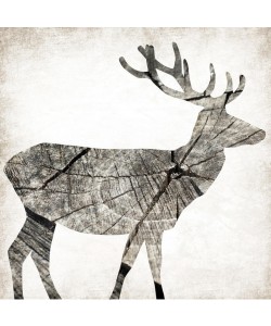 Jace Grey, WOOD DEER I