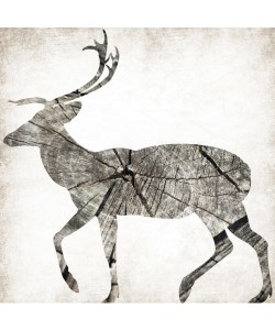 Jace Grey, WOOD DEER II