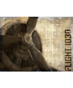 Kimberly Allen, VINTAGE FLIGHT 1030