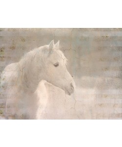 Kimberly Allen, WHITE KNIGHT SERENITY