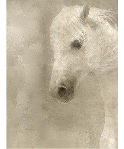 Kimberly Allen, WHITE MANE