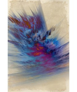 Kimberly Allen, CRASH I