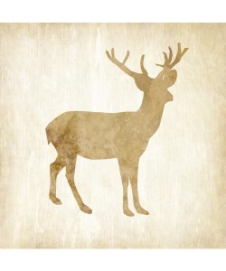 Kimberly Allen, IN THE WILD III