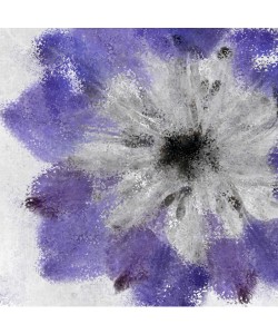 Kimberly Allen, NAVY BLOOM II