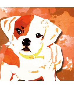 Kimberly Allen, DOG IN COLOR II