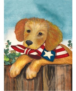 Laurie Korsgaden, AMERICA FRIEND II