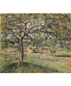 Camille Pissarro, Apfelbaum in Ergany (Pommier à Eragny). 1884