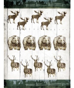 Onrei, DIFFERENT ANIMALS
