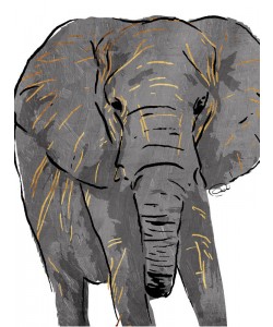 Onrei, GOLDEN GREY ELEPHANT