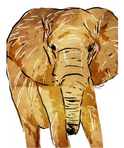 Onrei, GOLDEN BLACK ELEPHANT