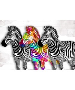 Onrei, THREE ANIMALS