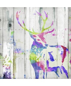 Onrei, DEER GAZE COLORFUL
