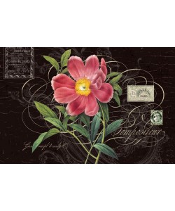 Ophelia & Co, DARK PINK FLOWER II
