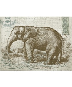 Ophelia & Co, SAFARI ELEPHANT I