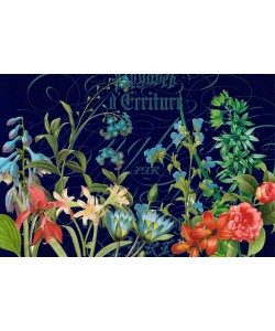 Ophelia & Co, MIDNIGHT GARDEN