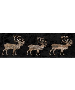 Sheldon Lewis, HUNTERS CATCH