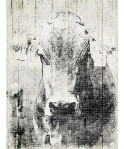 Jace Grey, VINTAGE COW